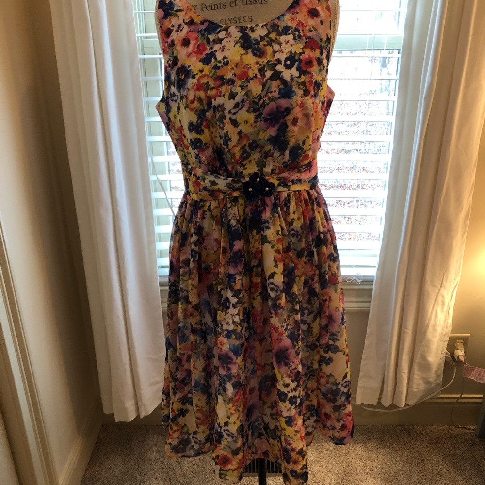 NWT Retro floral spring dress